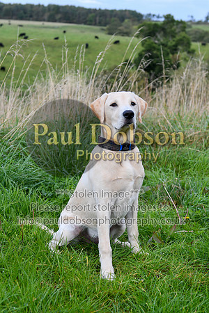 PAW_6759