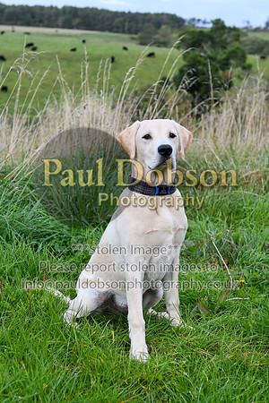 PAW_6760