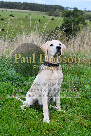 PAW_6761