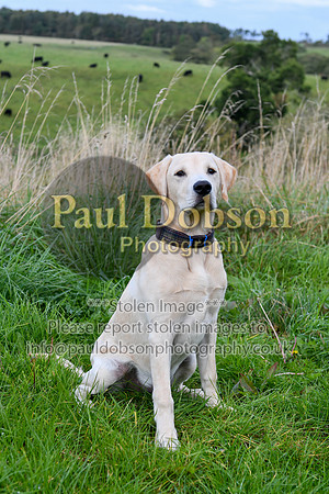 PAW_6762