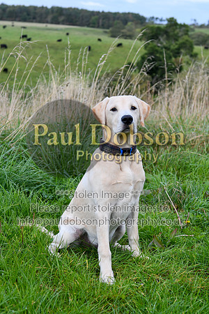 PAW_6763