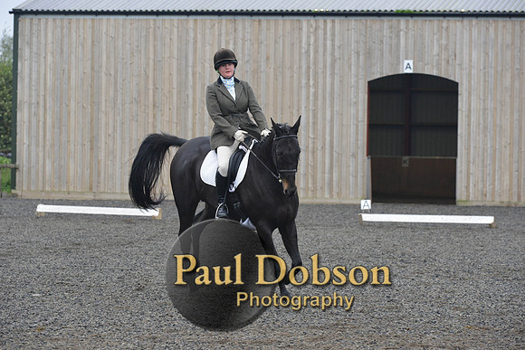 dressage-5220