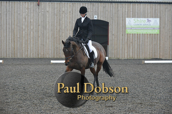 dressage-5876