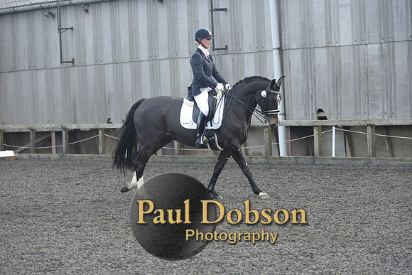 dressage-7289