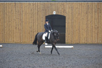 dressage-6589