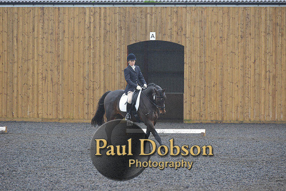 dressage-6589