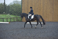 dressage-6582
