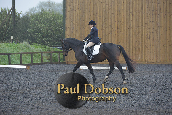 dressage-6582