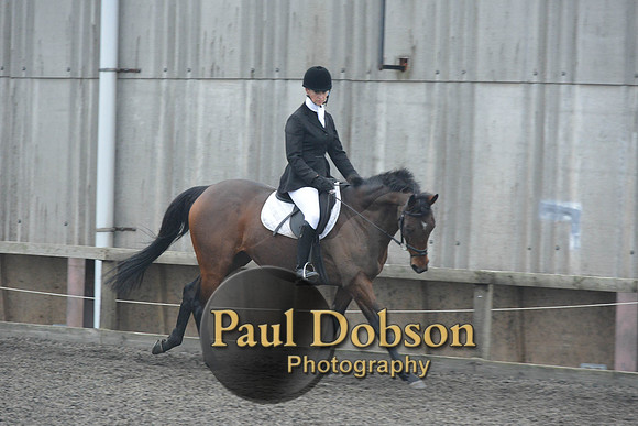 dressage-5871