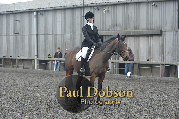 dressage-5882