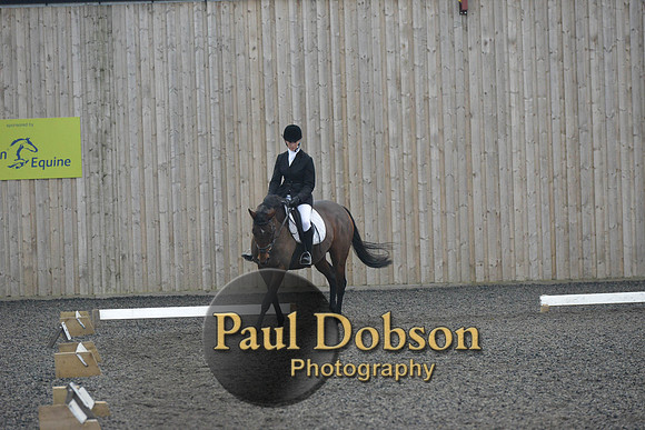 dressage-5867