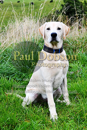 PAW_6754