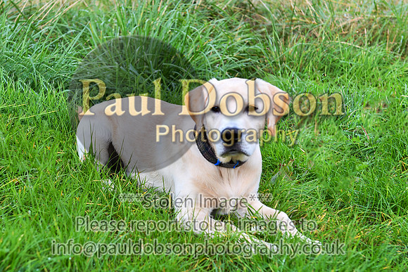 PAW_6748