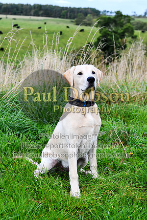 PAW_6758