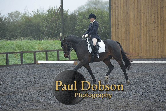 dressage-6610