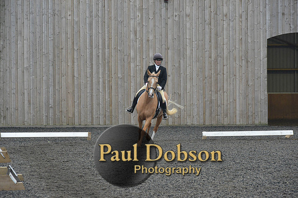 dressage-5767