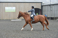 dressage-5421