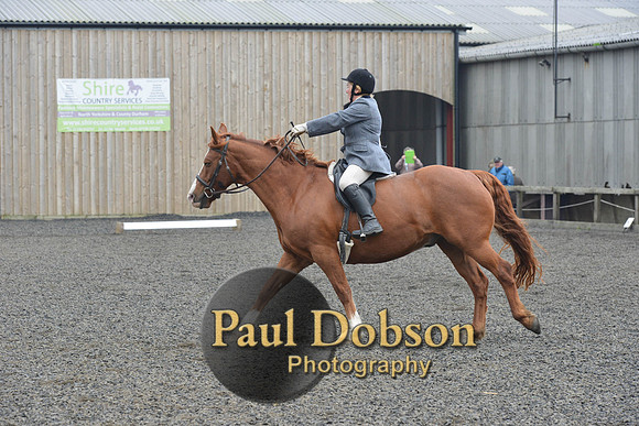 dressage-5421