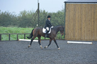 dressage-6452
