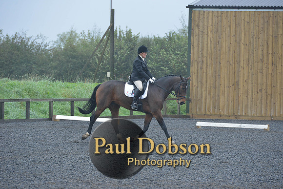 dressage-6452