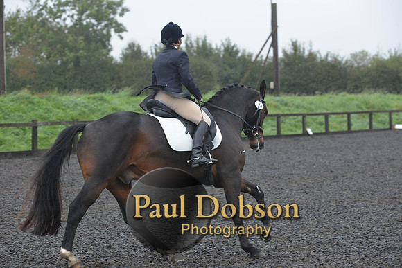 dressage-6606