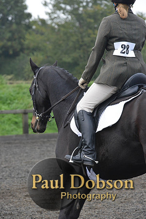 dressage-5202