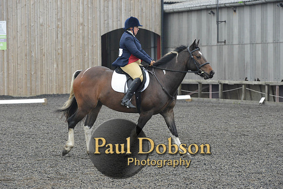 dressage-5712