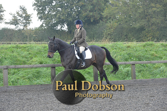 dressage-5190