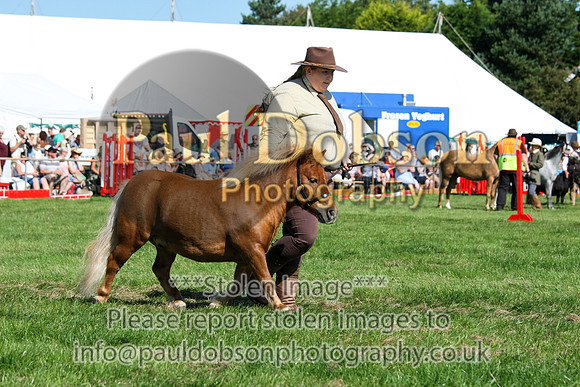c34_1919-2
