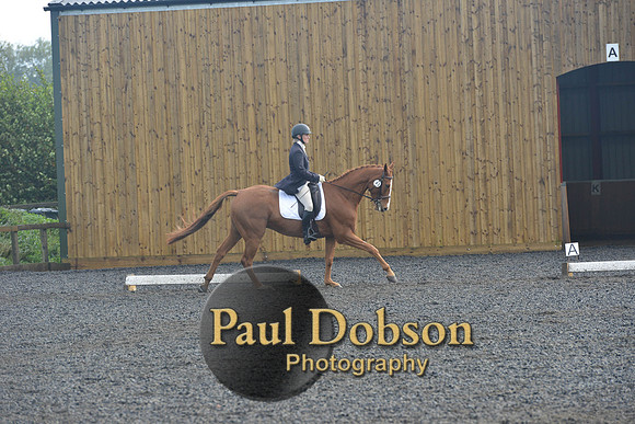 dressage-6791