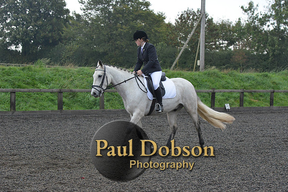 dressage-4534