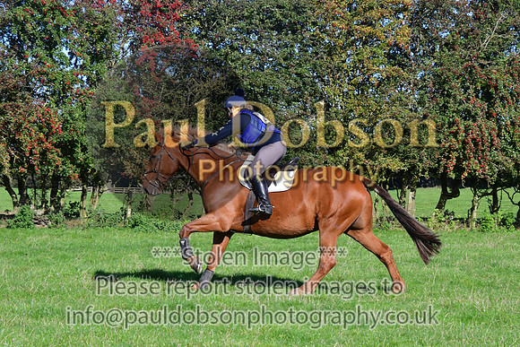 060_8155