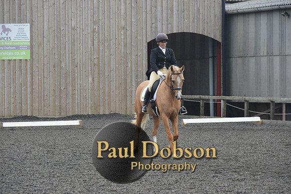 dressage-5749