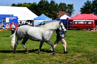 c11_1292