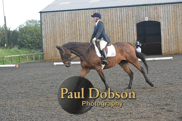 dressage-7302