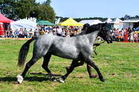 c11_1297