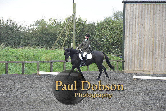 dressage-5211