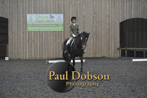 dressage-6281