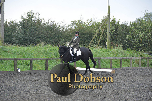 dressage-5212