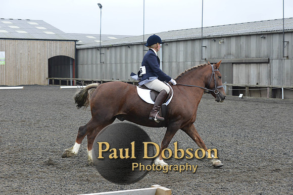 dressage-5435