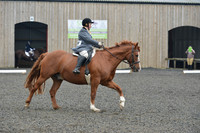 dressage-5415