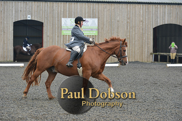 dressage-5415