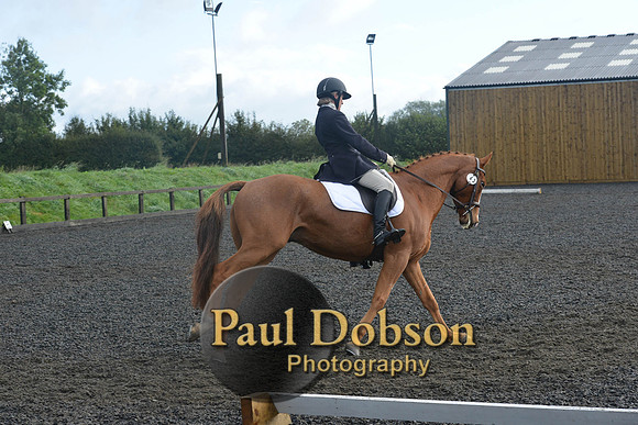 dressage-6794