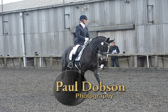 dressage-7281