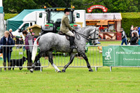E16 Ridden Hunter-Novice