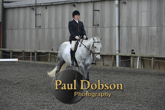 dressage-4571