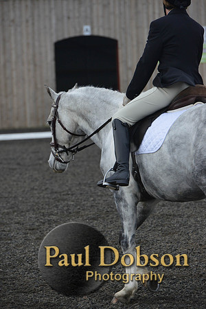 dressage-4543