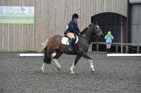 dressage-5708