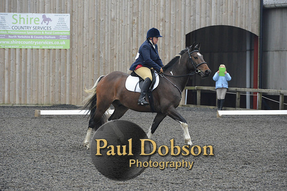 dressage-5708