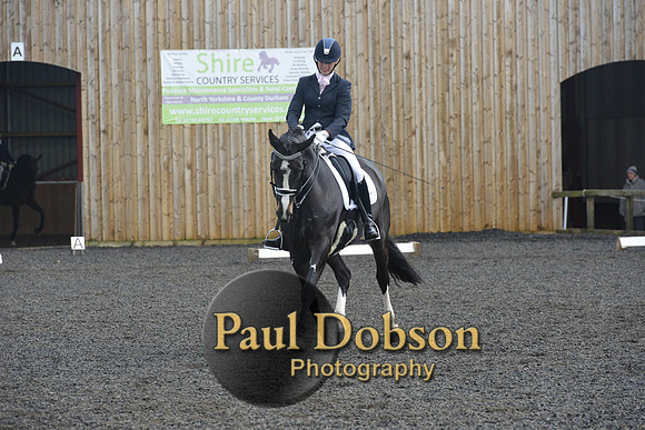 dressage-7262